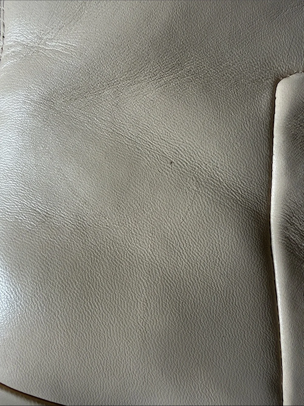 Franco Sarto Cream Pointed Toe Ankle Booties
